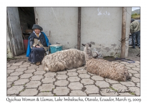 Woman & Llamas