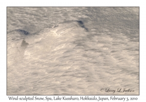 Wind-sculpted Snow