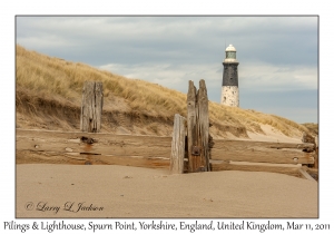Pilings & Lighthouse