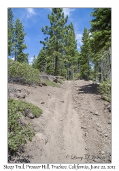 Steep Trail