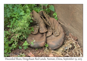 Discarded Shoes