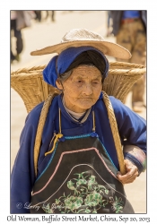 Old Woman with Basket