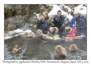 Photographers & Japanese Macaques