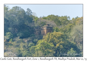 Castle Gate, Bandhavgarh Fort