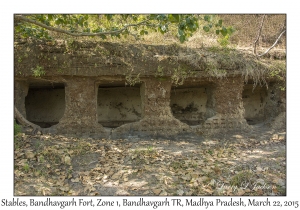 Stables, Bandhavgarh Fort