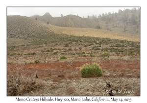 Mono Craters Hillside
