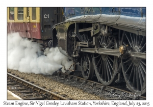 Steam Engine Sir Nigel Gresley