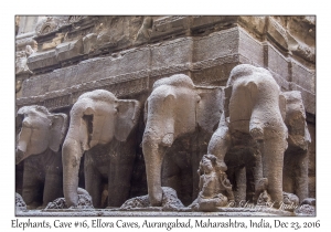 Elephants, Cave #16