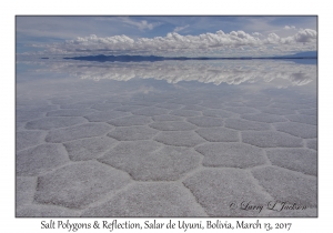 Salt Polygons & Reflection