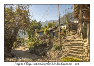 Angami Village
