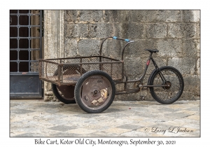 Bike Cart