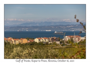 Gulf of Trieste