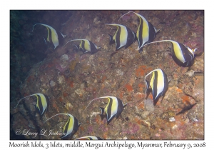 Moorish Idols