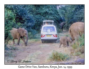 Game Drive Van