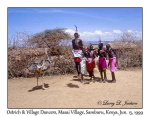 Ostrich & Village Dancers