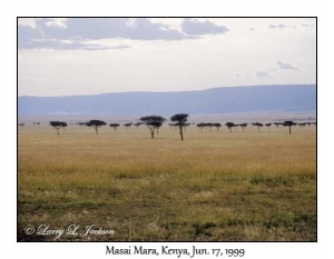 Masai Mara