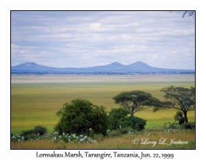 Lormakau Marsh