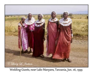 Wedding Guests