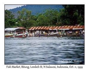 Fish Market