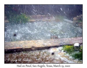 Hail on Pond