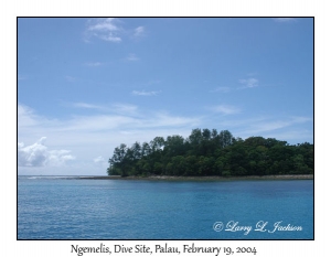 Ngemelis Dive Site