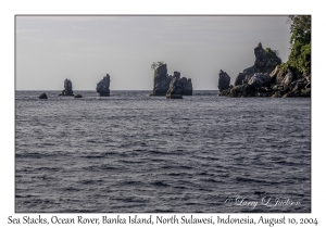 Sea Stacks