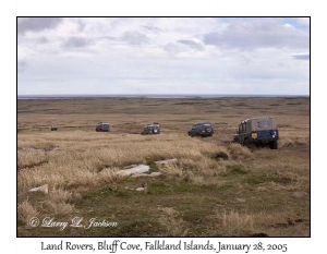 Land Rovers on the way to Bluff Cove