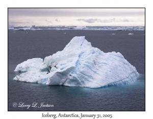 Iceberg