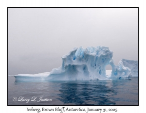 Iceberg