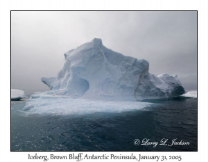 Iceberg