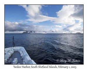 Yankee Harbour