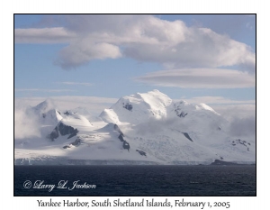 Yankee Harbour