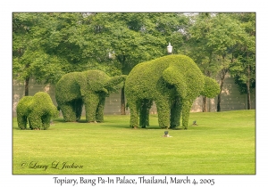 Topiary