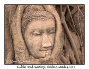 Buddha Head