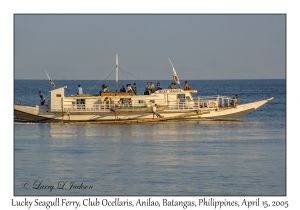 Lucky Seagull Ferry