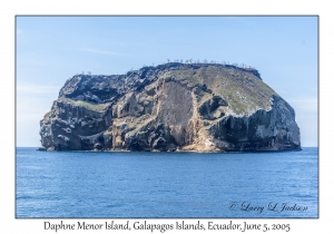 Daphne Menor Island