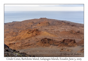 Cinder Cones