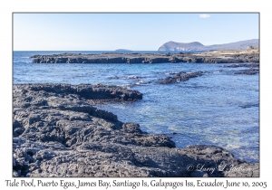 Tide Pool