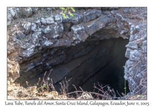 Lava Tube