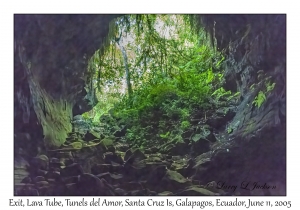 Lava Tube
