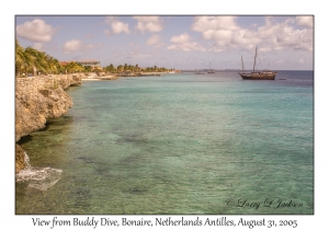 View from Buddy Dive