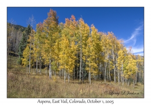 Aspens