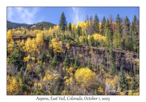 Aspens