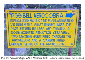 P39 Bell Airacobra Sign