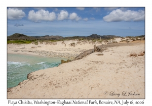 Playa Chikitu