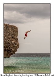 Cliff Dive