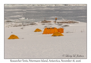 Research Tents