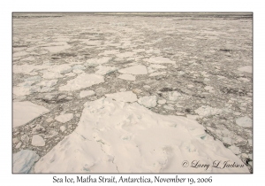 Sea Ice