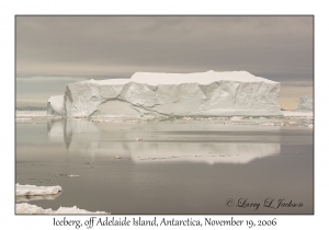 Iceberg