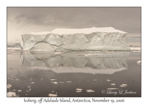 Iceberg